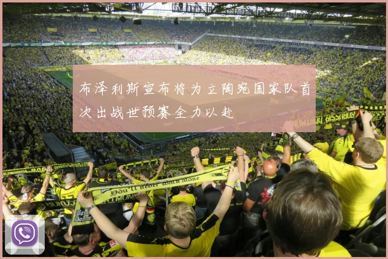 布泽利斯宣布将为立陶宛国家队首次出战世预赛全力以赴